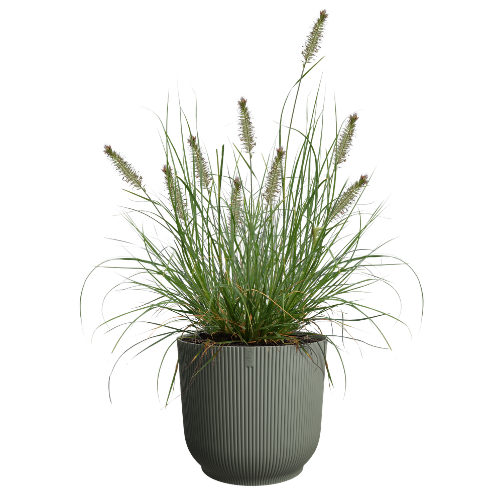 The Grass Collection Round 30