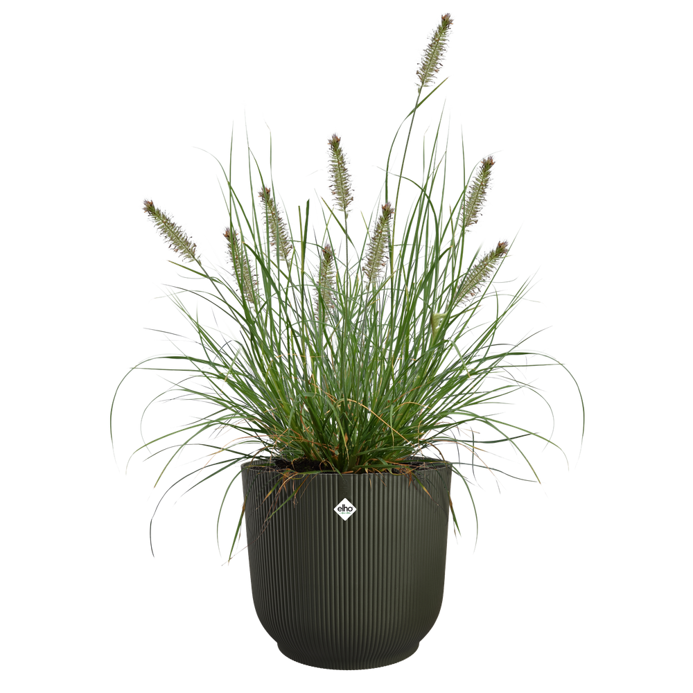 The Grass Collection Round 40