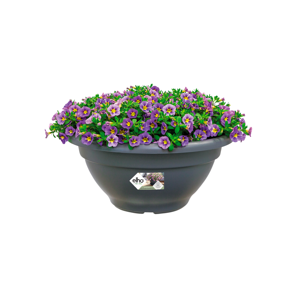 Torino Bowl 40
