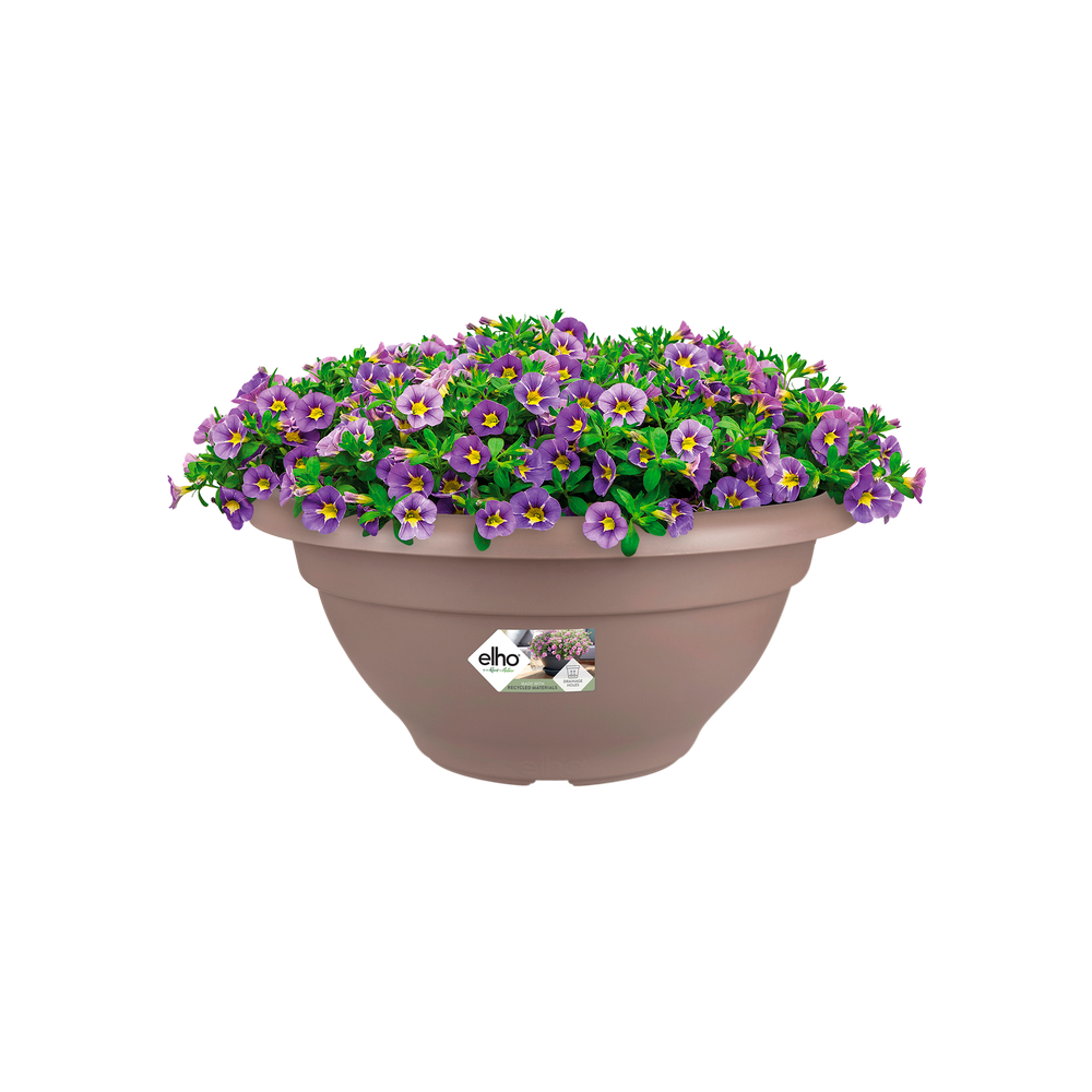 Torino Bowl 40