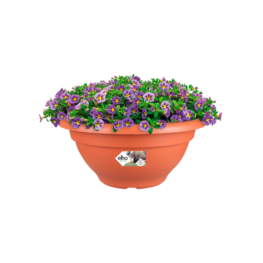 Torino Bowl 40