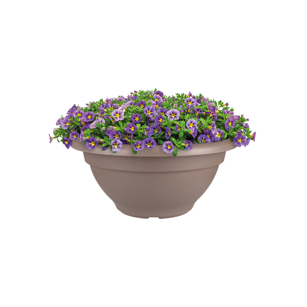 Torino Bowl 40