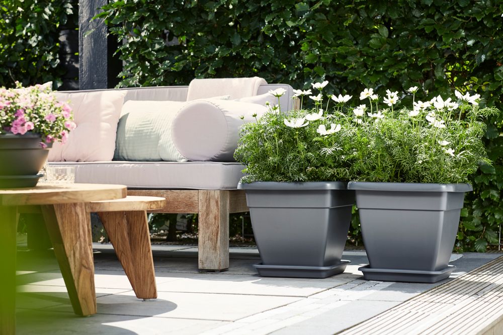 Torino Campana Square High 32