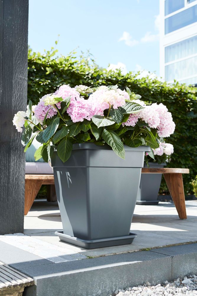 Torino Campana Square High 32