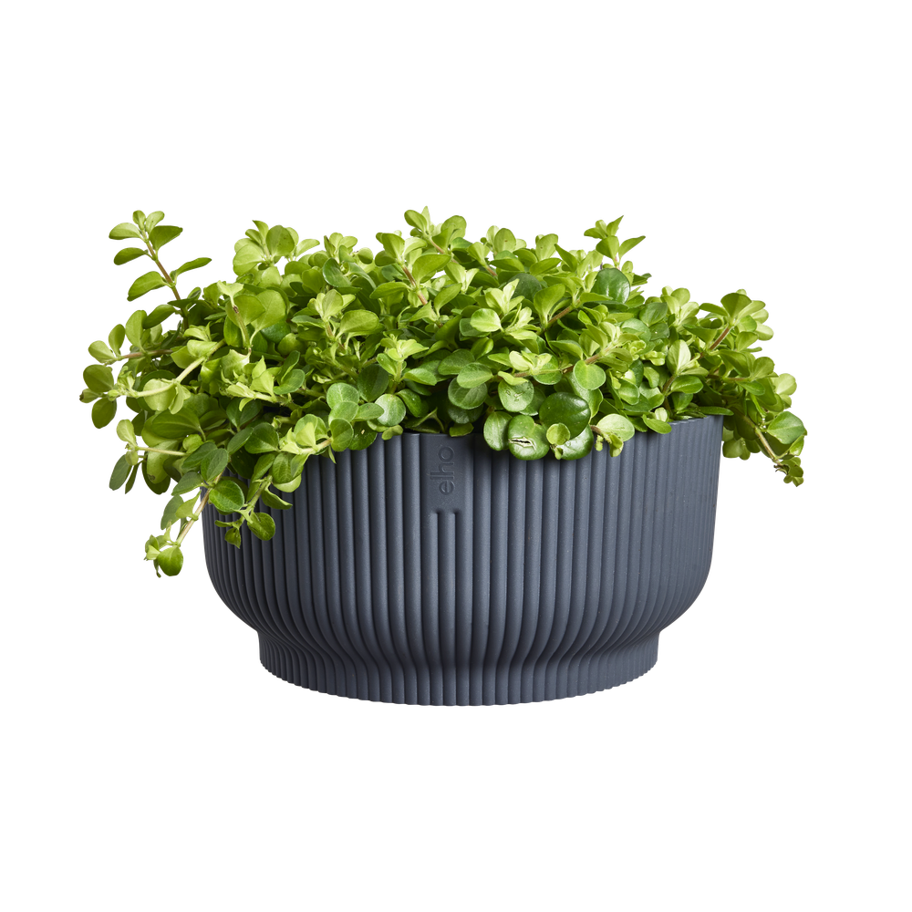 Vibes Fold Bowl 25
