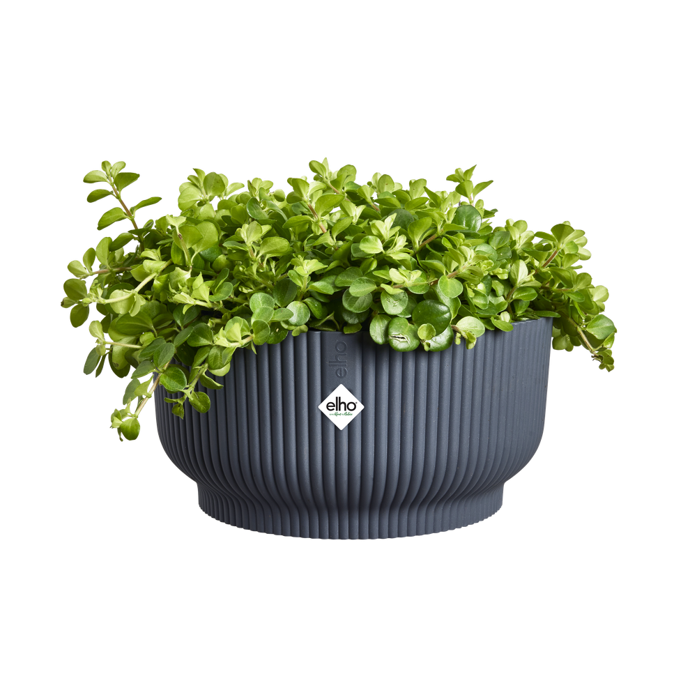 Vibes Fold Bowl 25