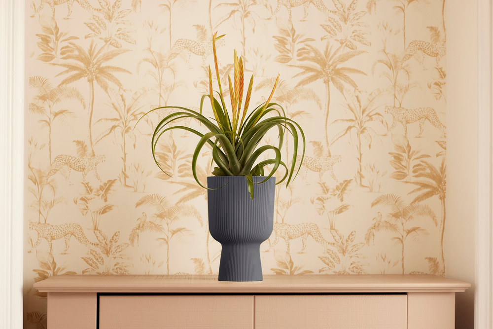 Vibes Fold Coupe 14