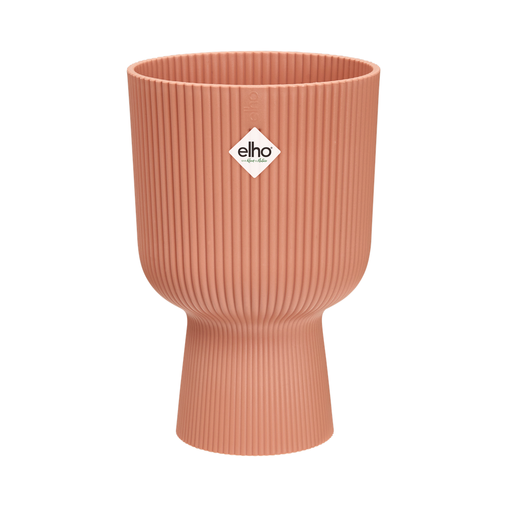 Vibes Fold Coupe 14