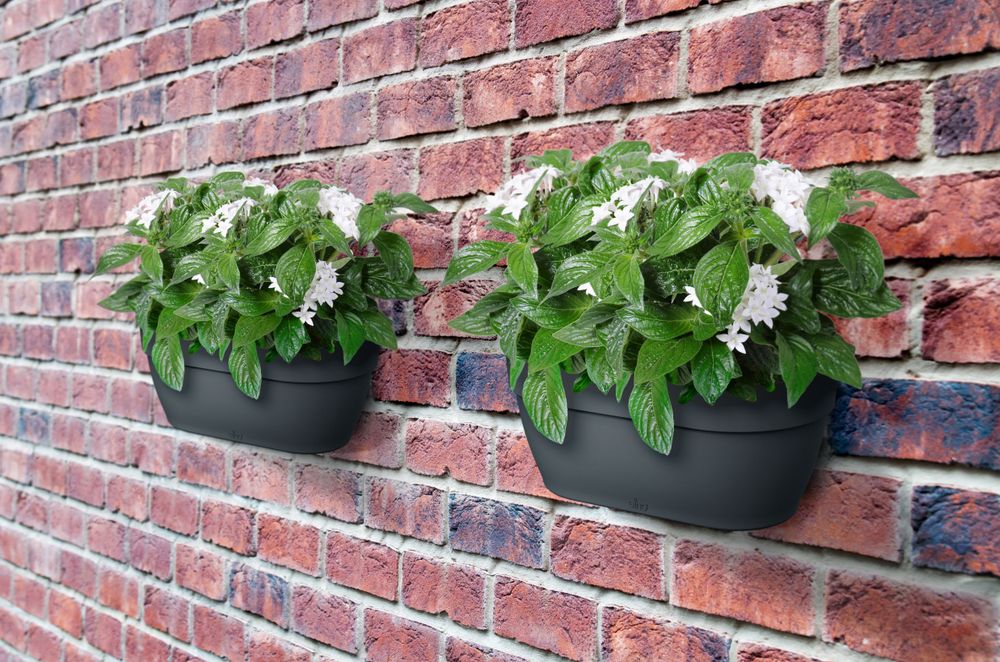 Vibia Campana Wall Basket 35