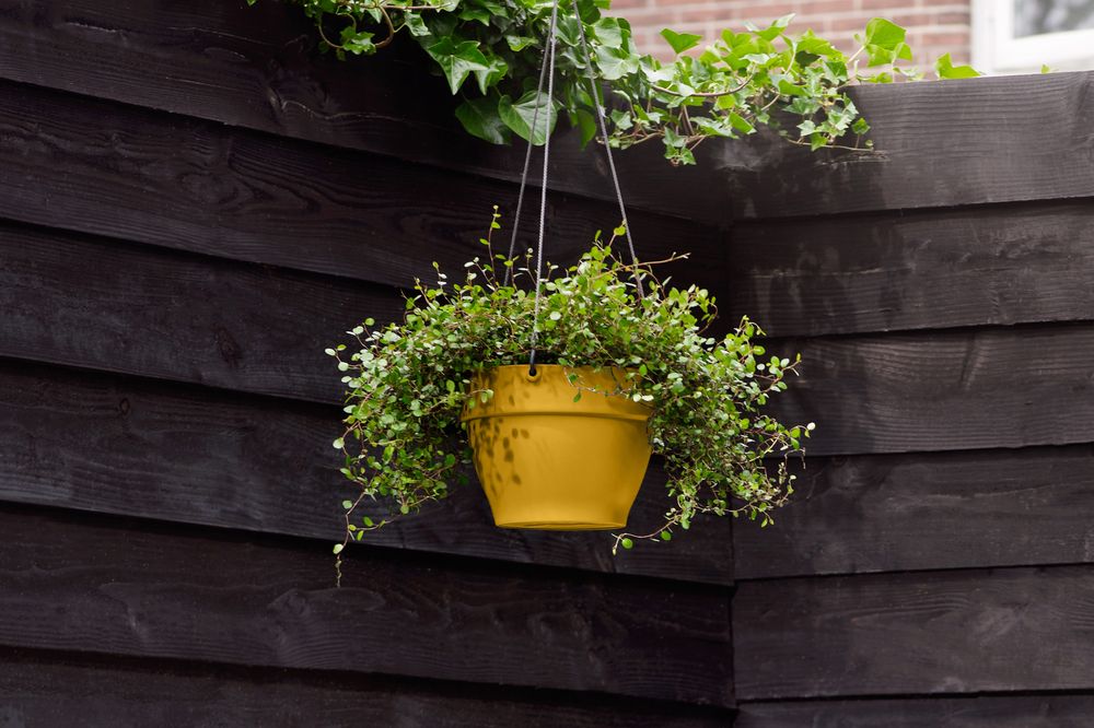 Vibia Campana Hanging Basket 26