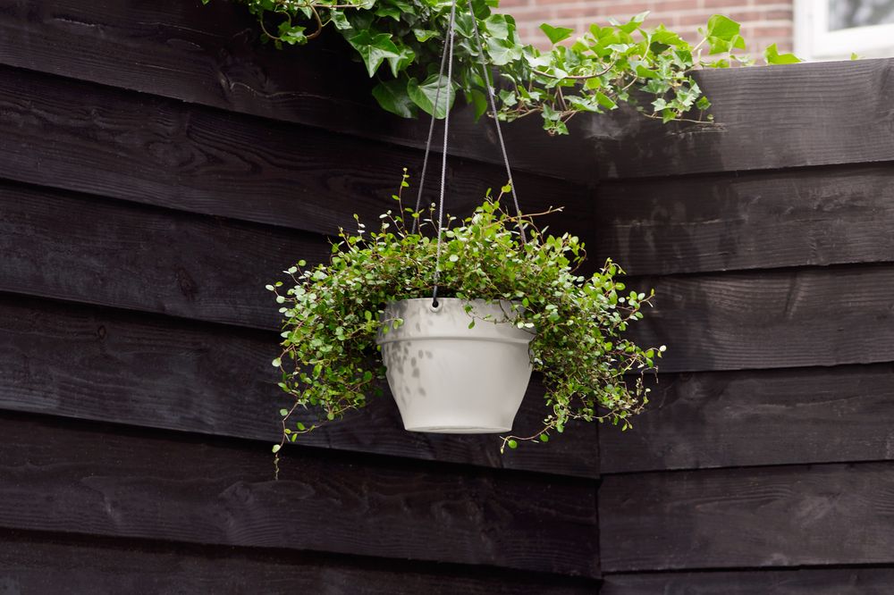 Vibia Campana Hanging Basket 26