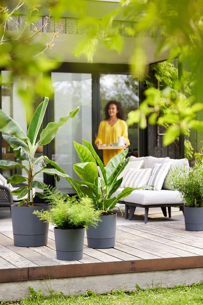 Greensense Aqua Care Round 43