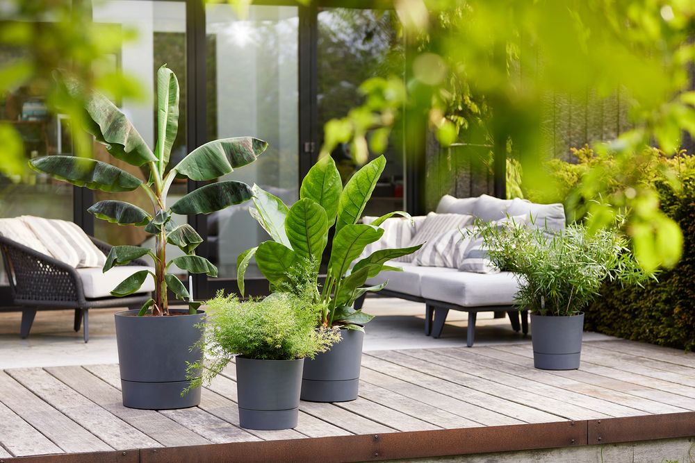 Greensense Aqua Care Round 43