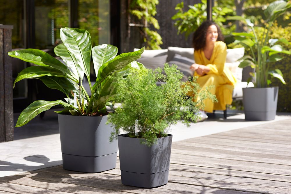 Greensense Aqua Care Square 30