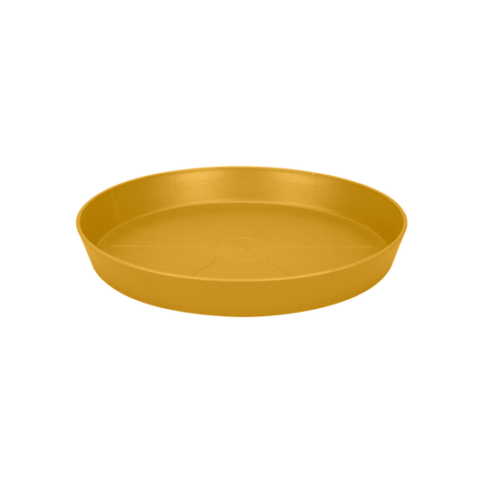 Loft Urban Saucer Round 30