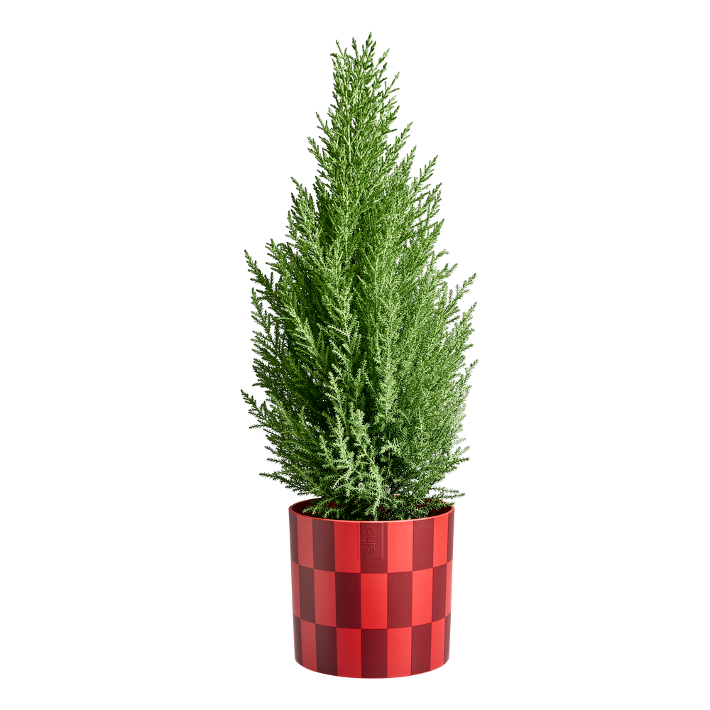 Xmas Blocks & Stripes 15