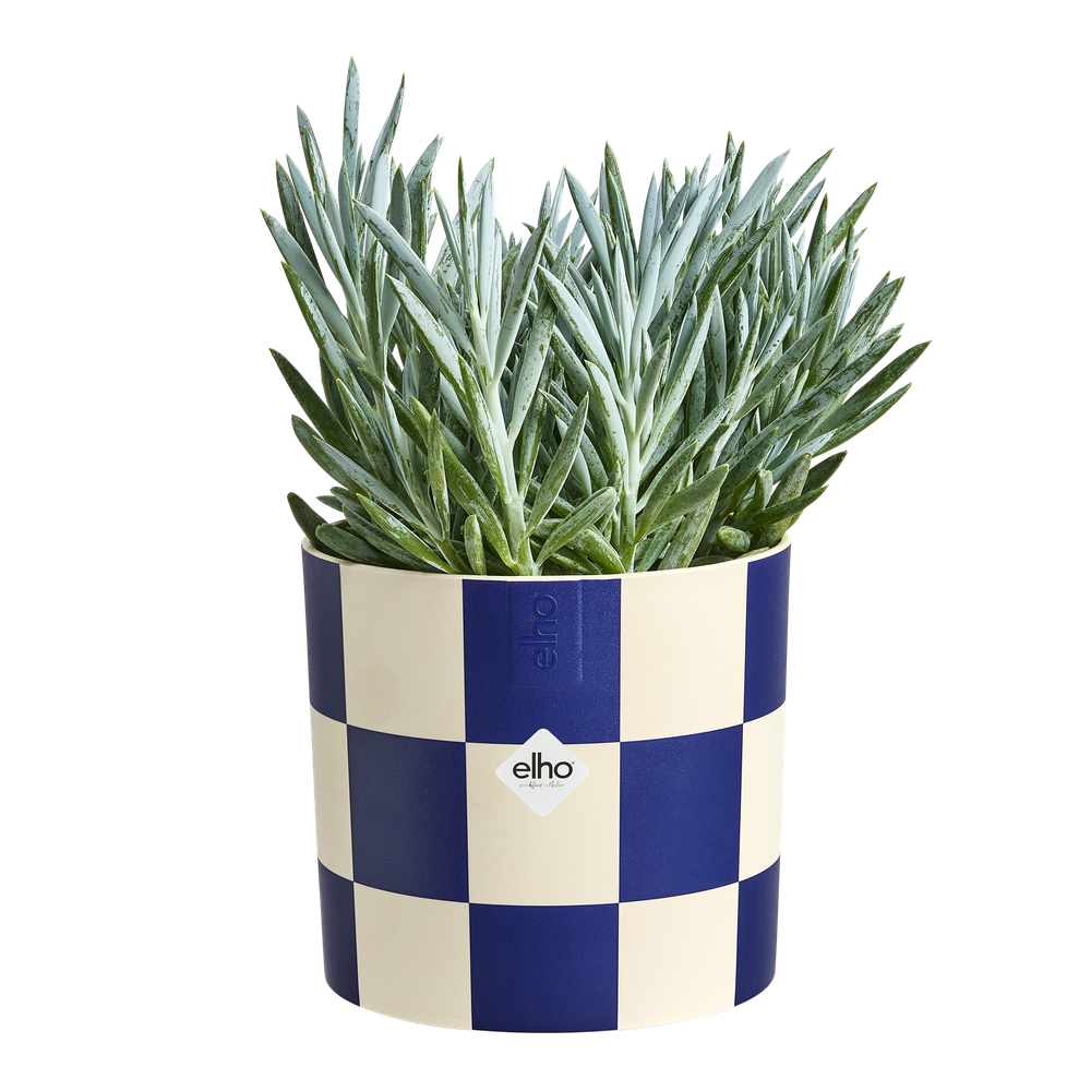Blocks & Stripes 15