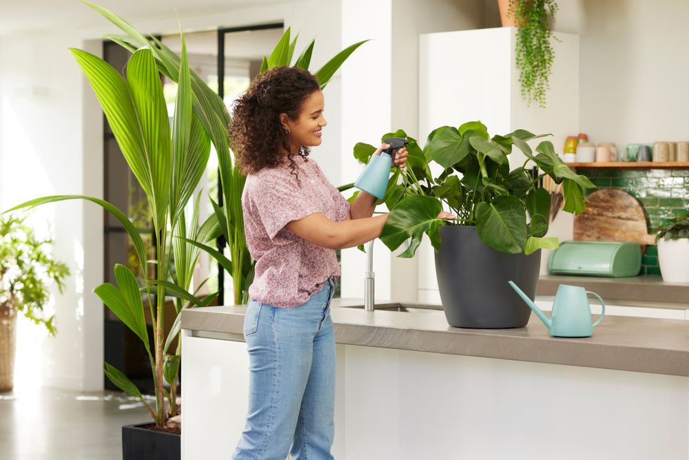 Brussels Watering Can 1,8ltr