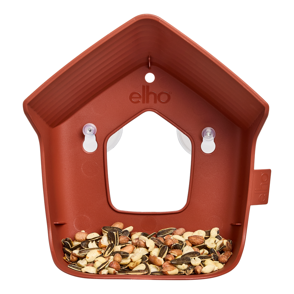 Cosy Window Feeder 23