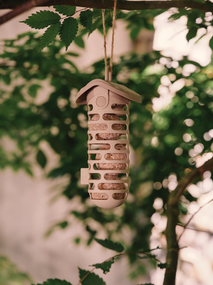 Cosy Suet Ball Feeder 10