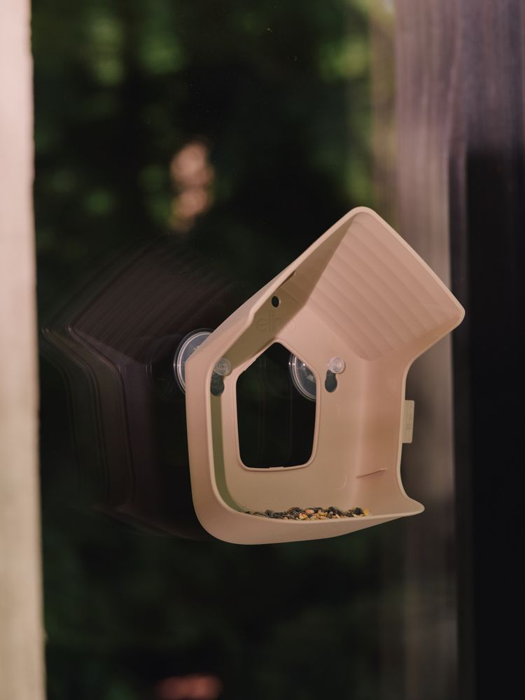 Cosy Window Feeder 23
