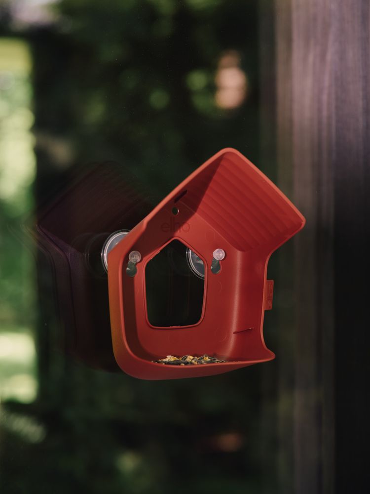Cosy Window Feeder 23