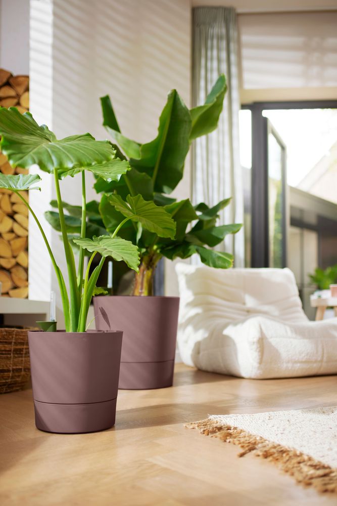Greensense Aqua Care Round 30