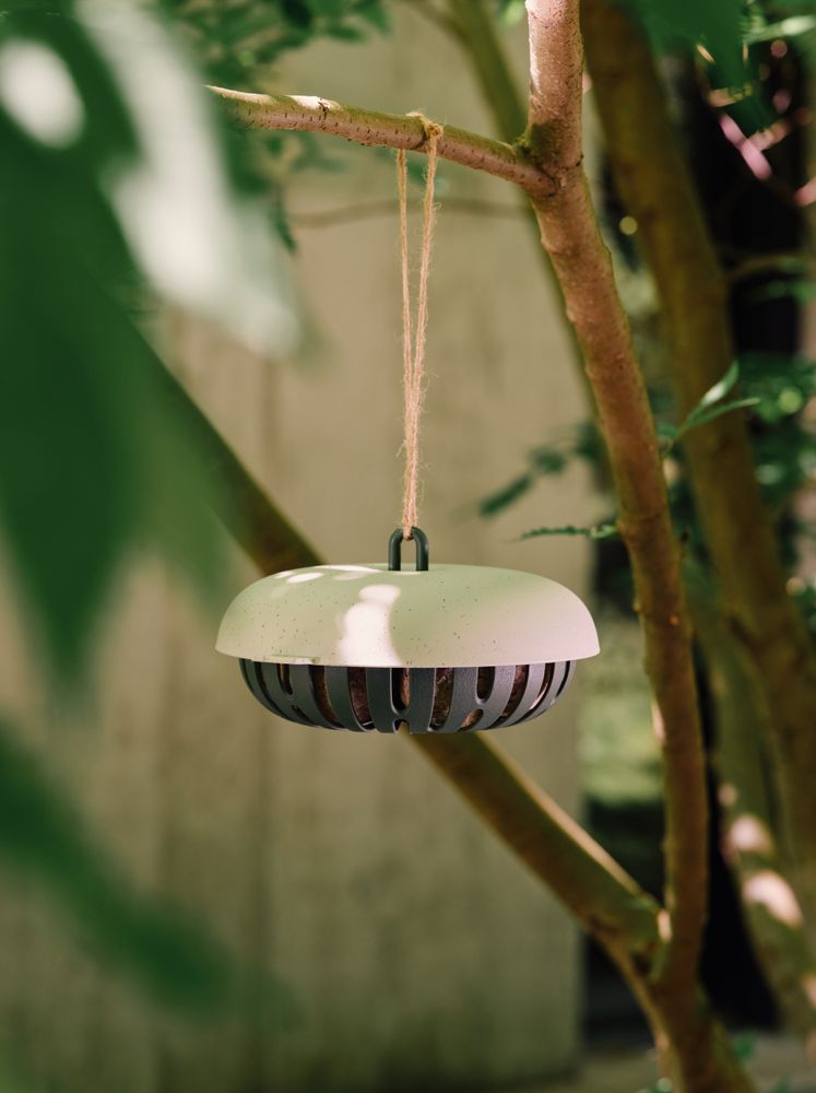 Essential Feeder Bowl 16