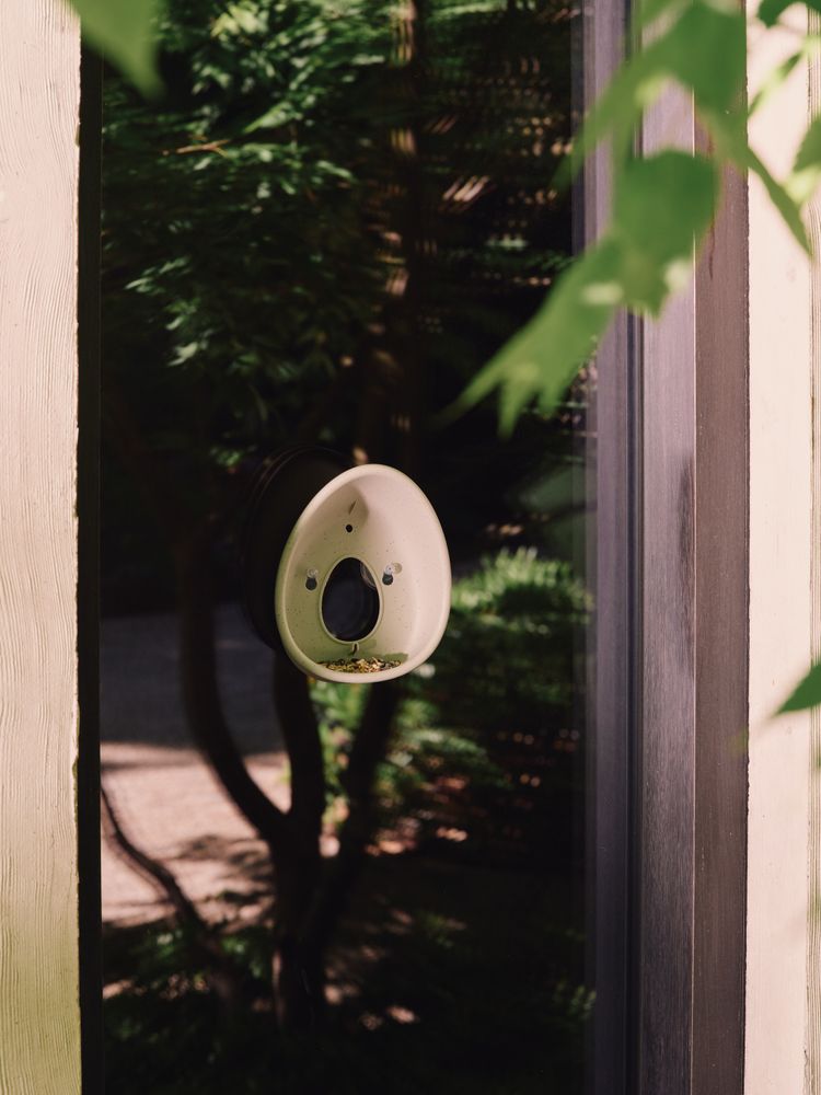 Essential Window Feeder 25