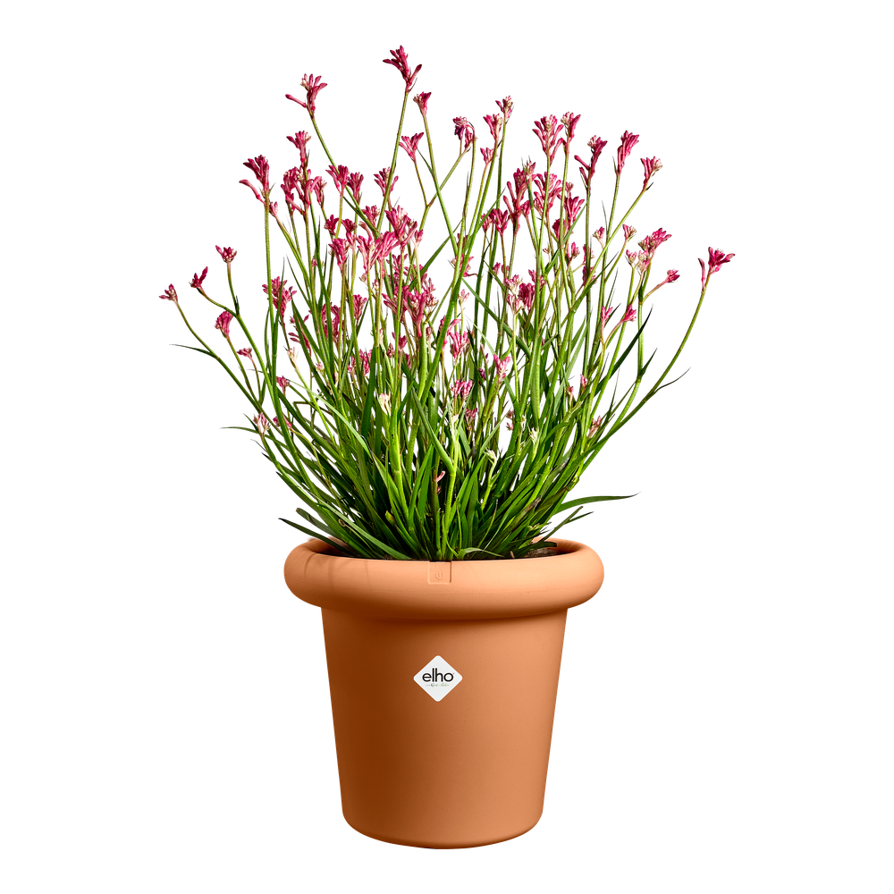 Frida 47