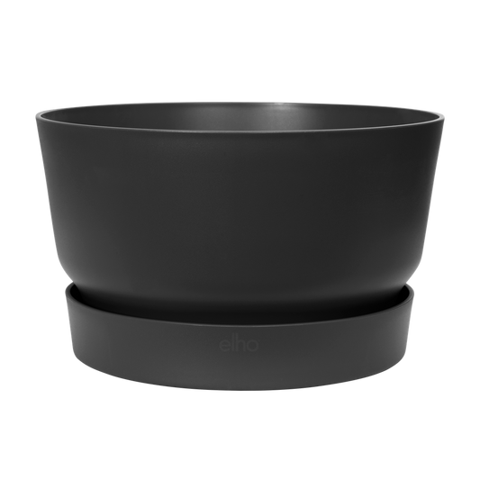 Greenville Bowl 33