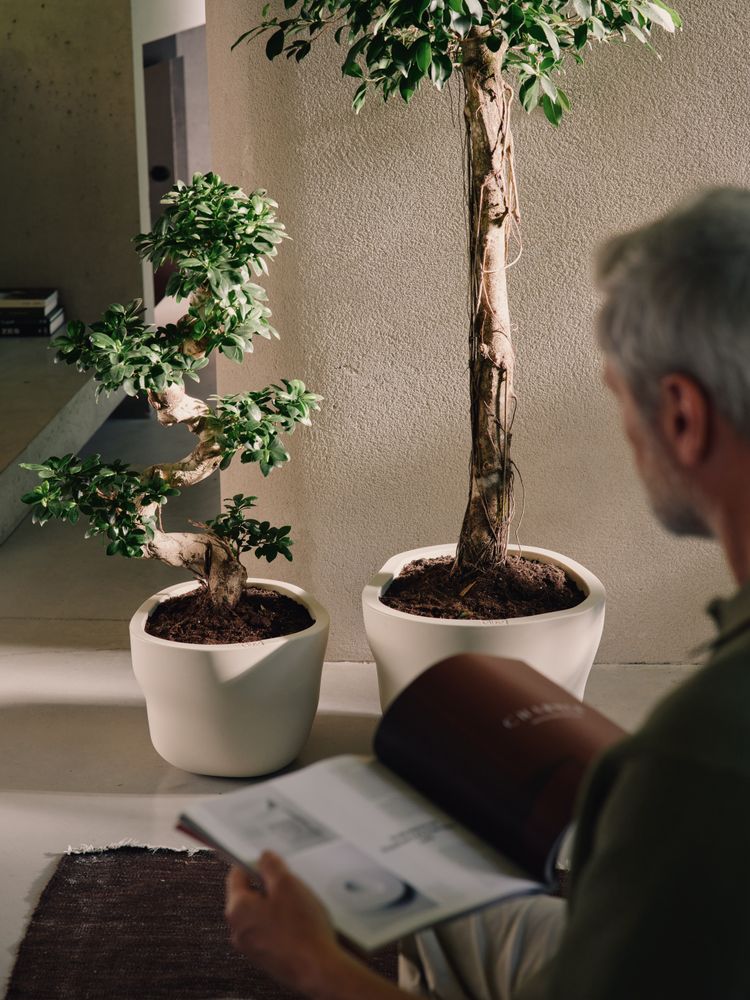 Mura Box 40