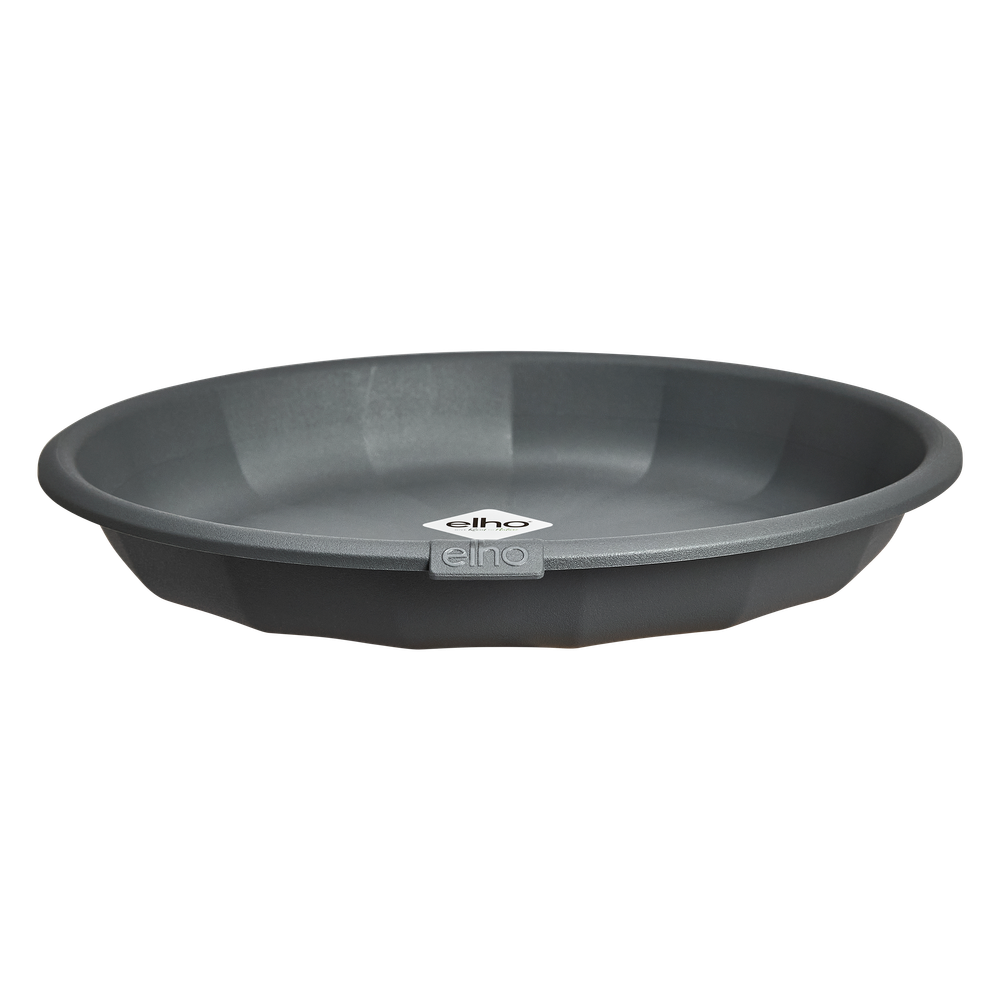 Niva Saucer Round 18