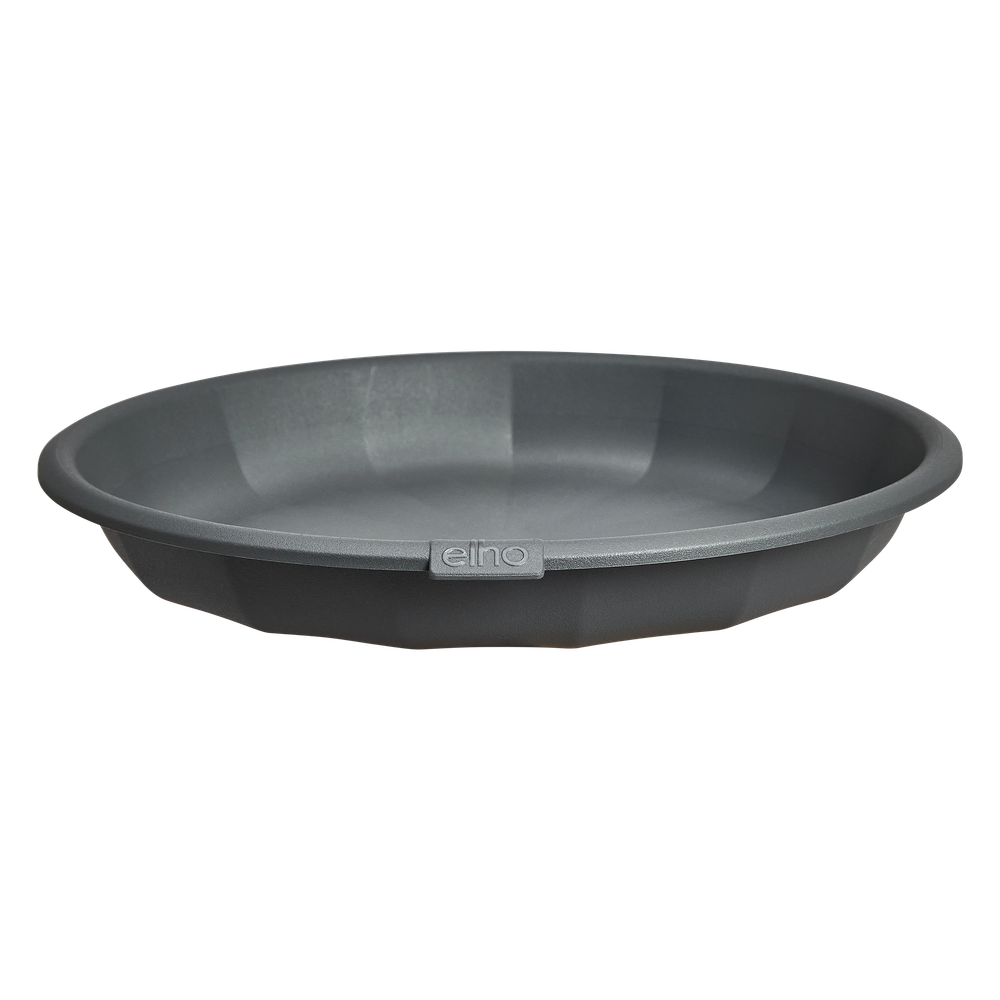 Niva Saucer Round 22