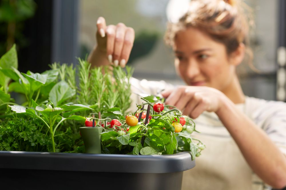 Noa Grow Table