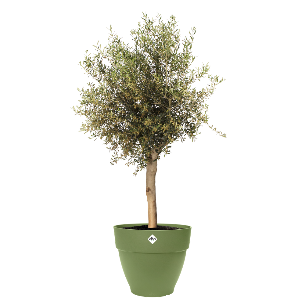 Vibia Campana 65