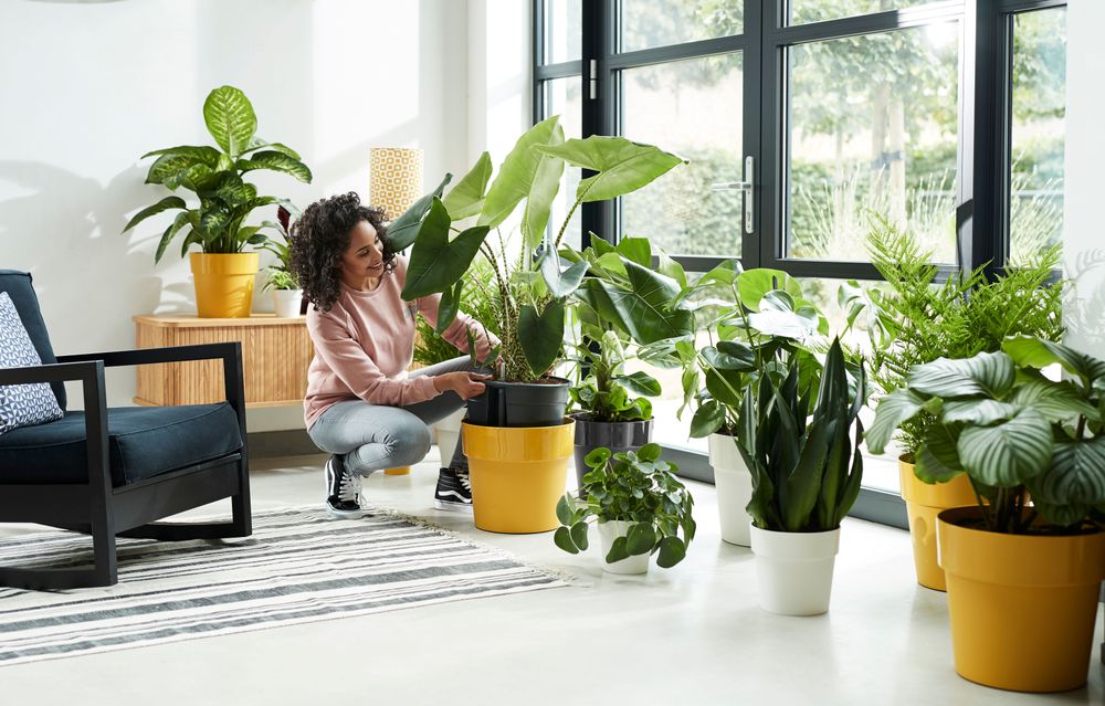 B.for Original Round Mini 11