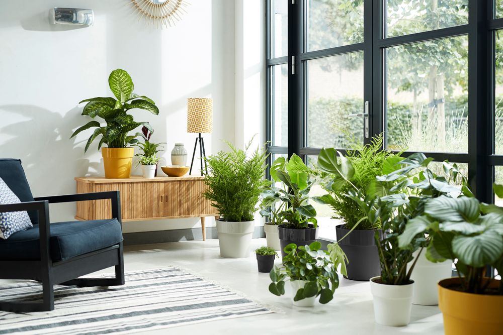 B.for Original Round Mini 11