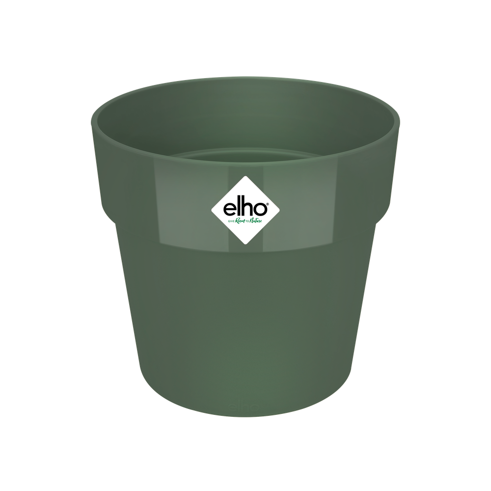 B.for Original Round 18