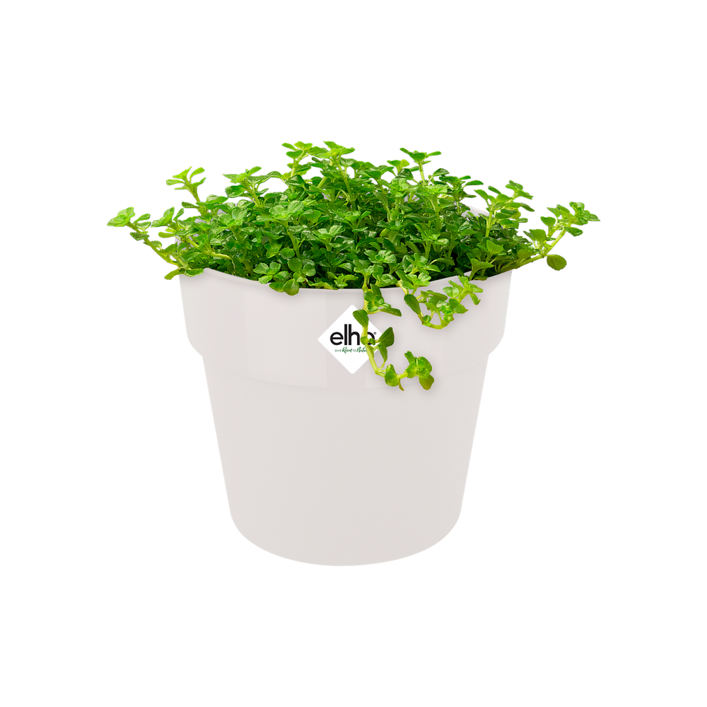 B.for Original Round Mini 11