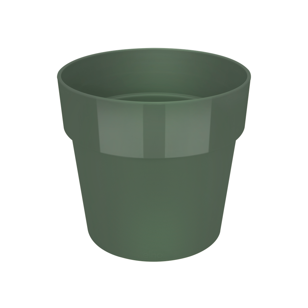 B.for Original Round 18
