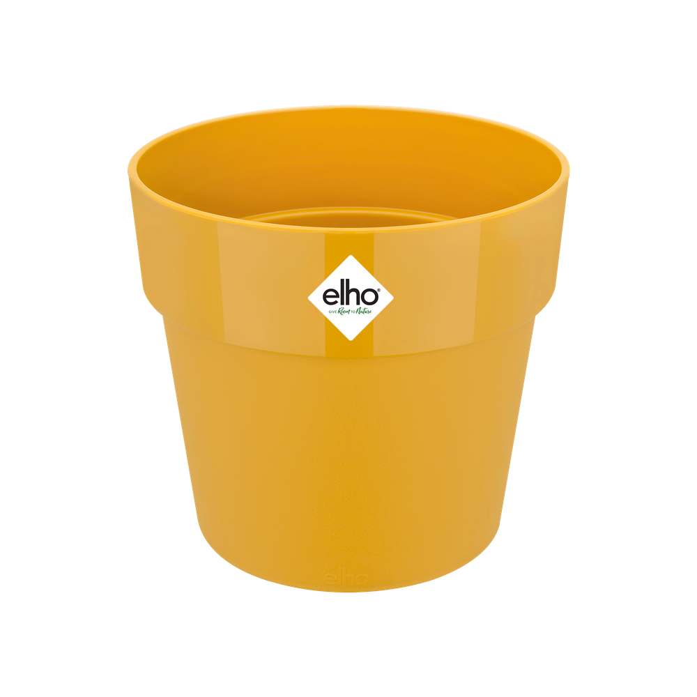 B.for Original Round 14