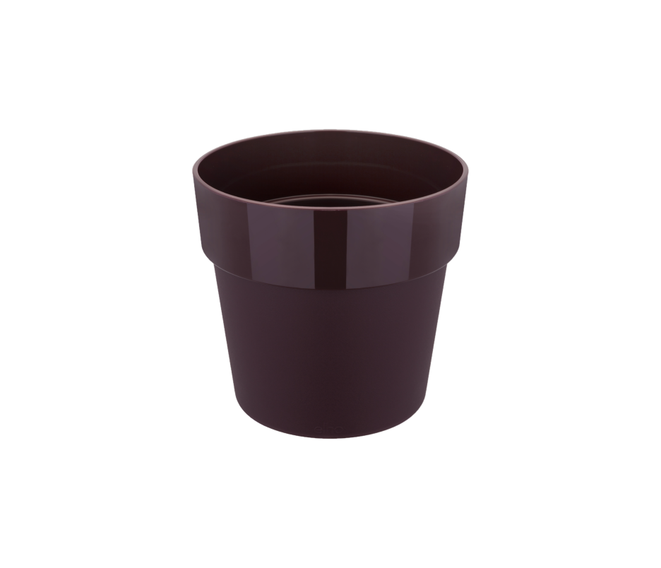 B.for Original Round 18