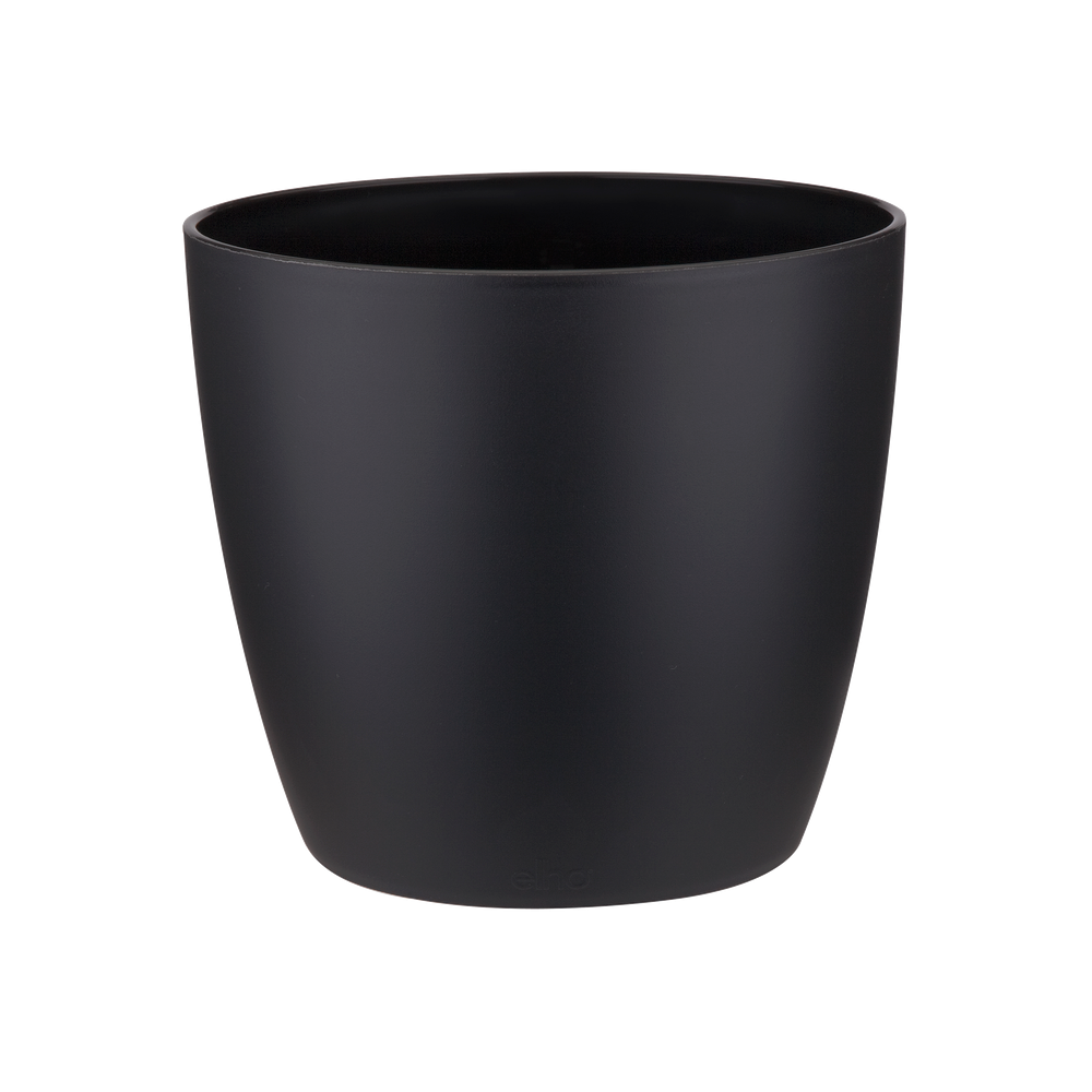 Brussels Round Mini 12,5