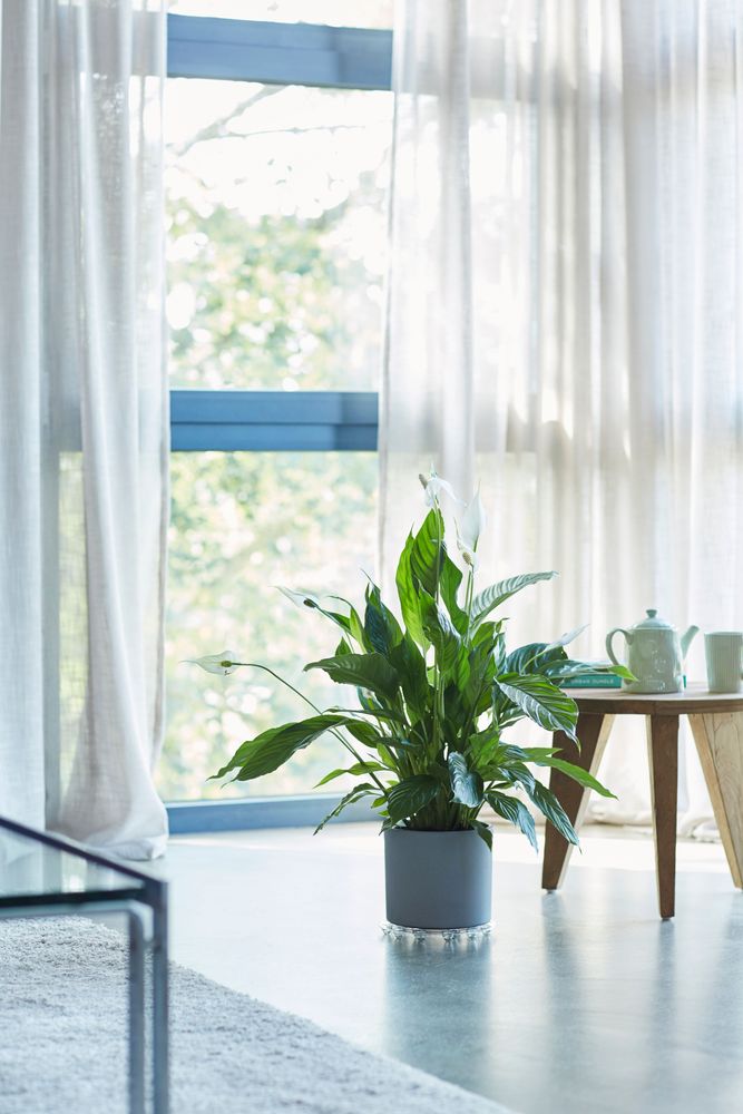 Floorprotector Round 12,5