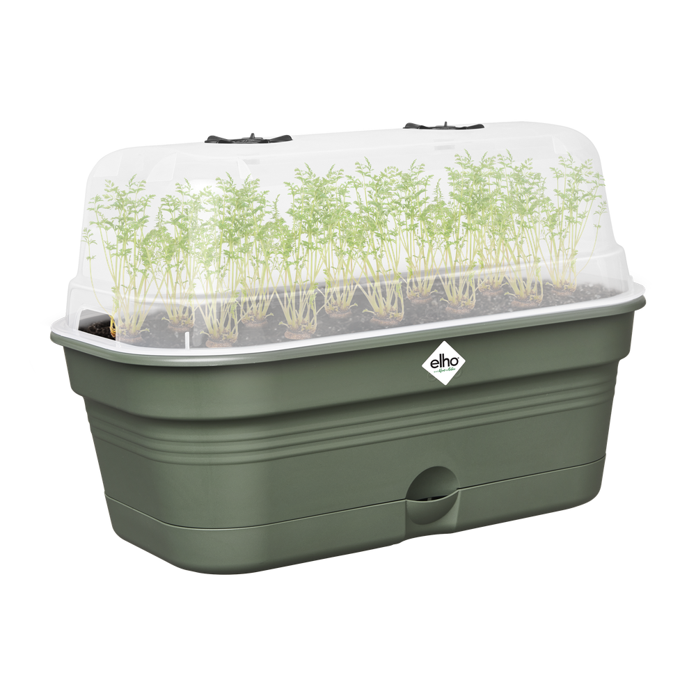 Green Basics Grow Tray Allin1 L