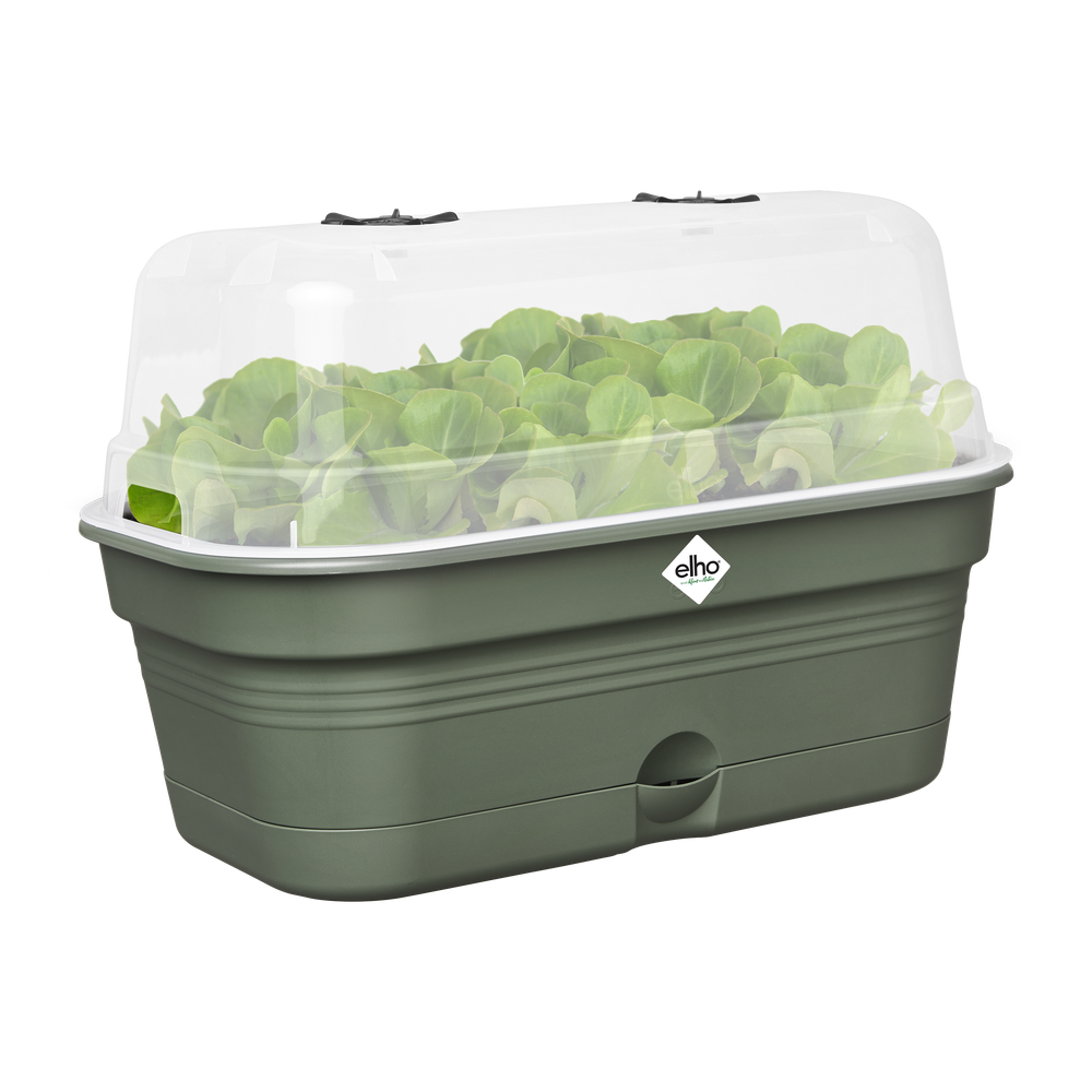 Green Basics Grow Tray Allin1 L