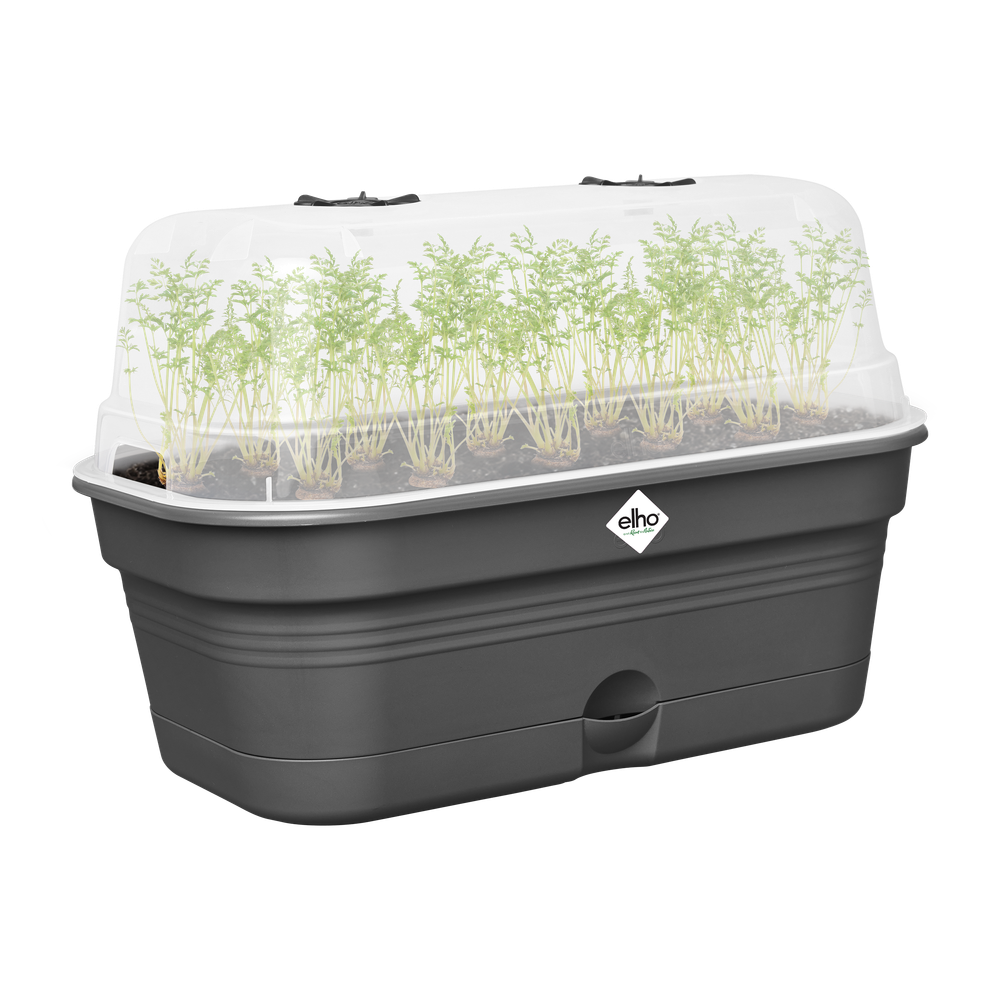 Green Basics Grow Tray Allin1 L