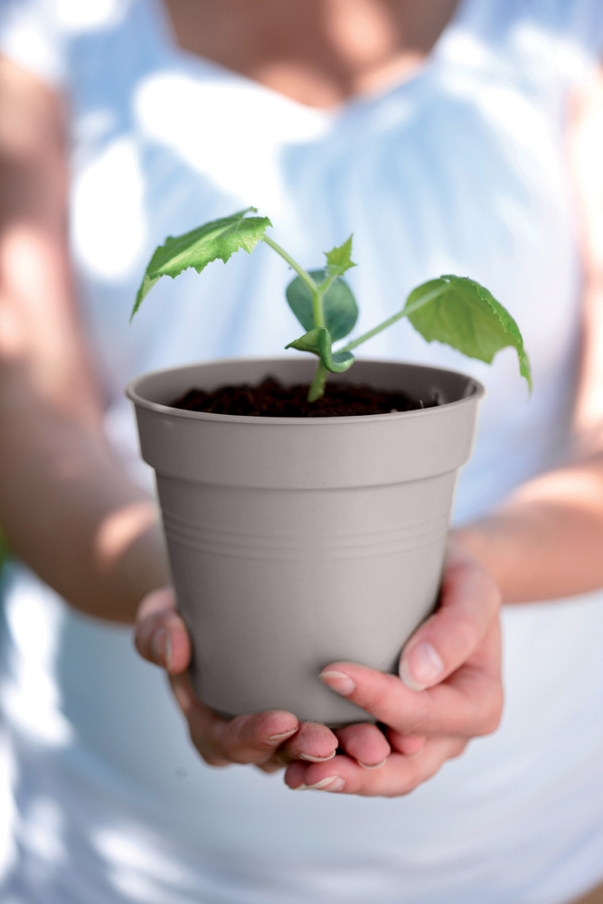 Green Basics Growpot 17