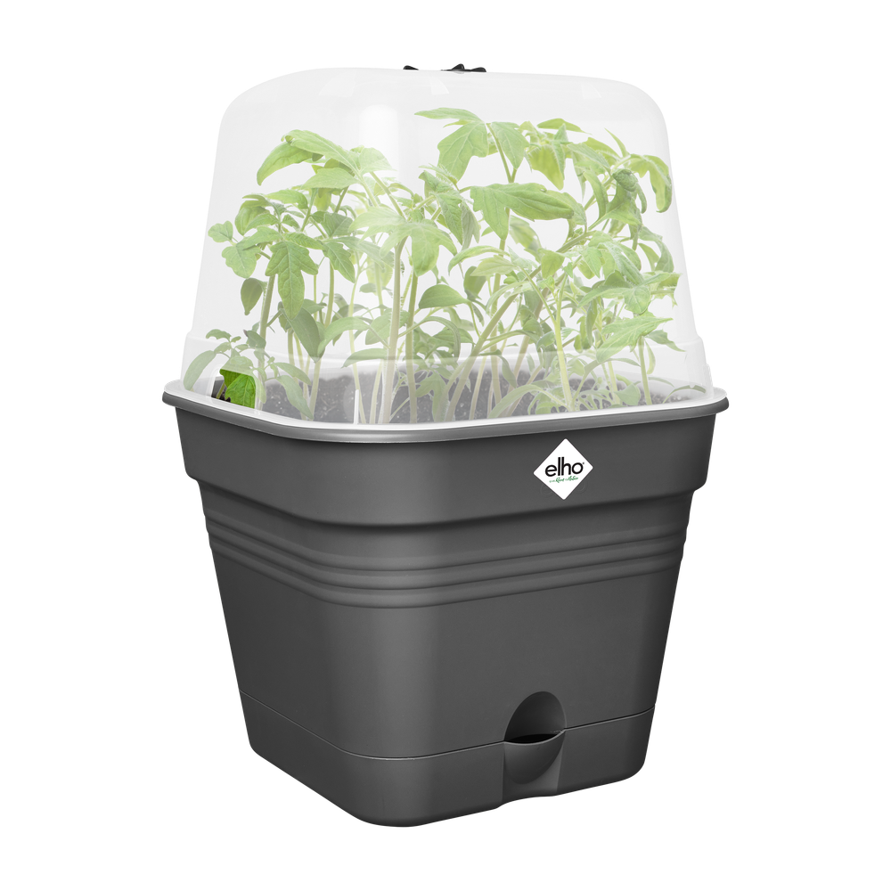 Green Basics Growpot Square Allin1 25